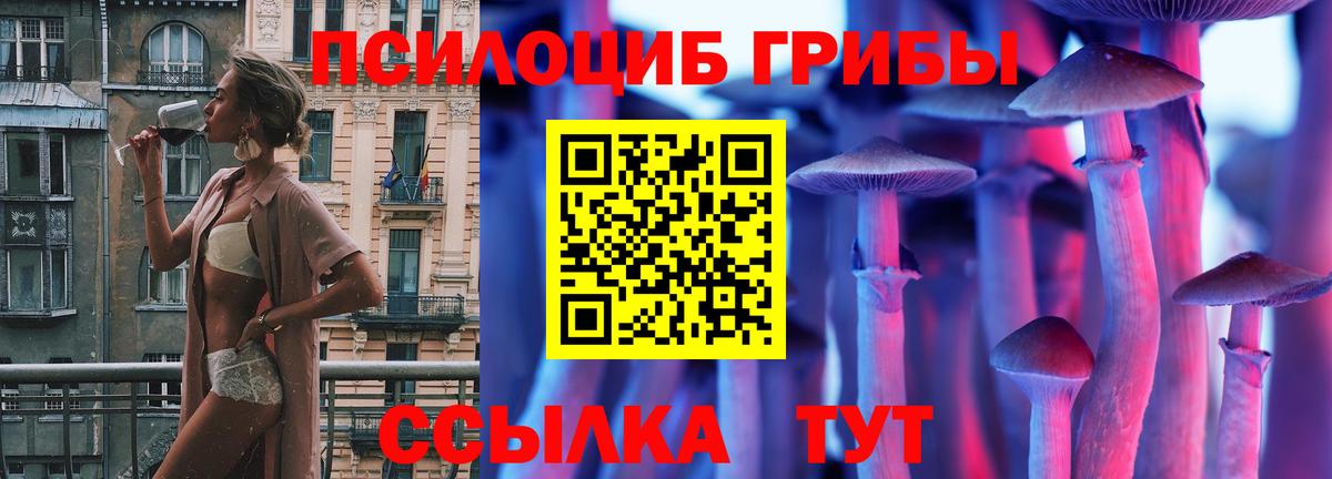 Псилоцибиновые грибы мухоморы Гай