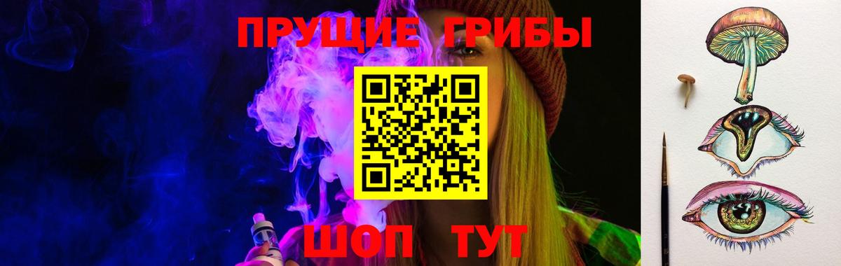 где купить   Вход с VPN  Гай  Псилоцибиновые грибы мухоморы 